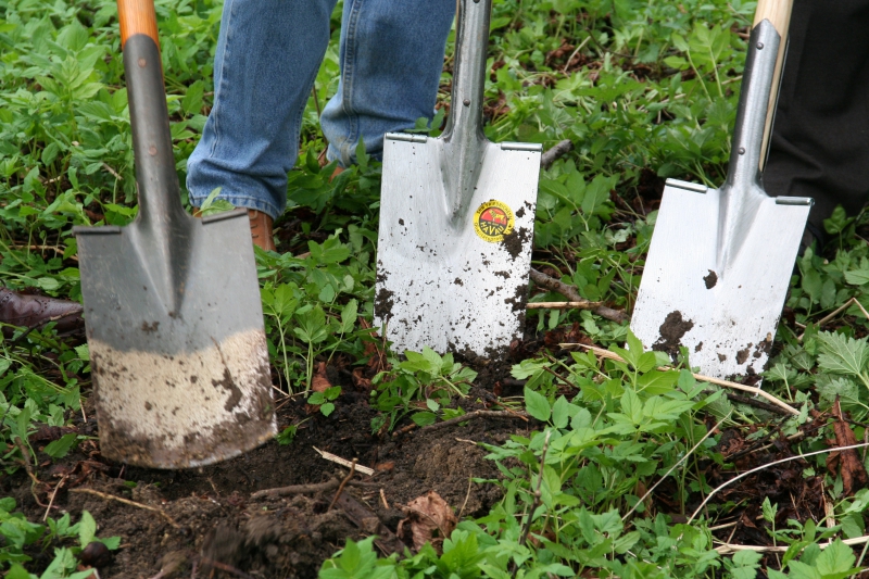 pepiniere-ROQUEFORT LES PINS-min_work-lawn-flower-tool-green-backyard-1103633-pxhere.com